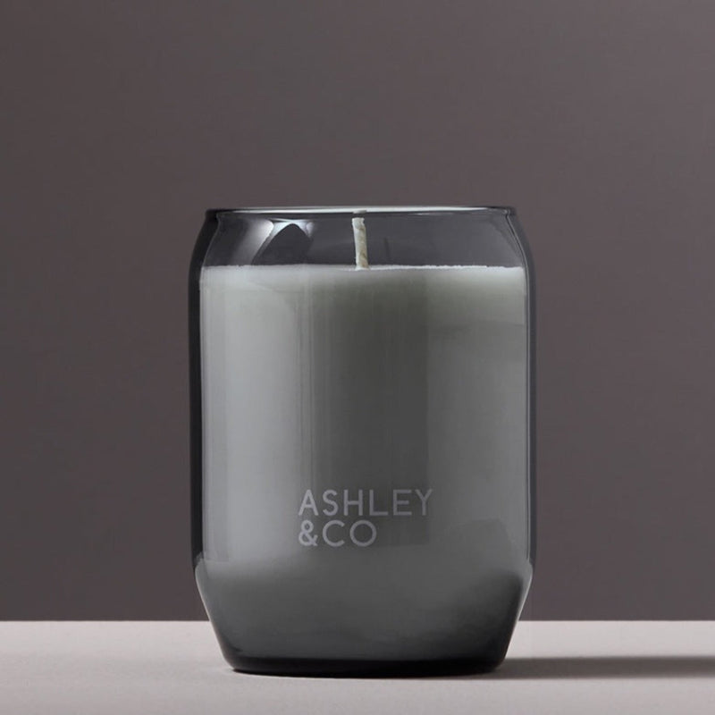 Ashley & Co - Vine & Paisley