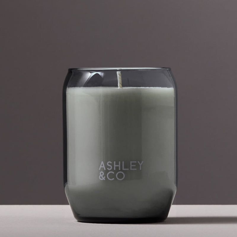 Ashley & Co -Tui & Kahilli