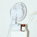 Earl of East - Atlas Cedar