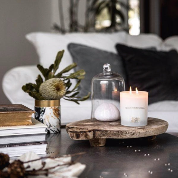 Southern Wild Co - Sunshine State